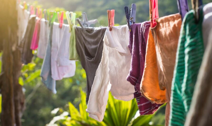 Nachhaltige Wäschepflege: Der grüne Trend mit Waschnüssen von Naturhaus